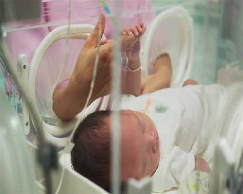 嘉兴借腹生子群里的秘密：如何甄别真实的本地求子渠道